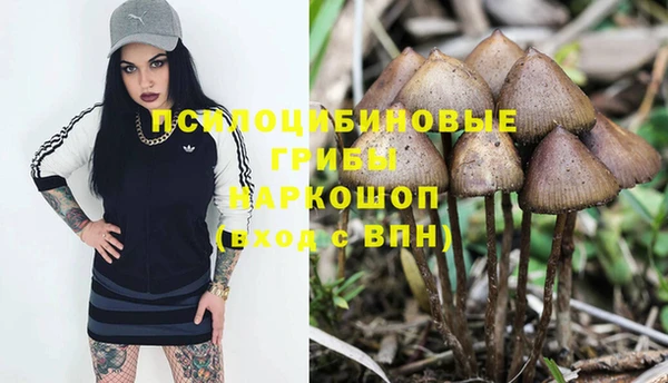 каннабис Алзамай