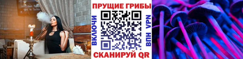 Галлюциногенные грибы MAGIC MUSHROOMS  продажа наркотиков  Туймазы 